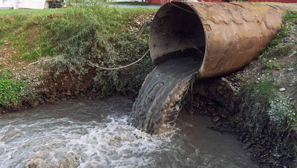 Polluted black water gushing from a large rusted pipe into a muddy river.