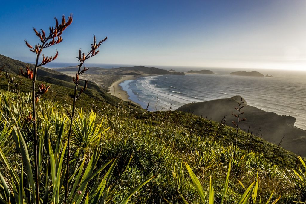 Stunning view from New Zealand Coast